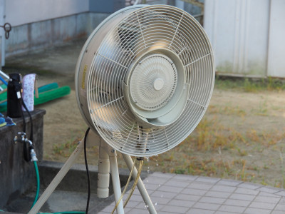 P8060059