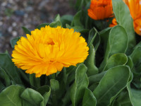 P3160039