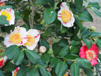 P3180028