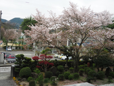 P4090004 (2)