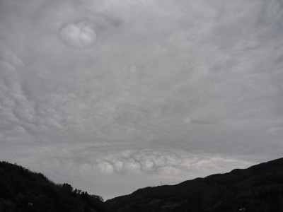 P4090027 (2)