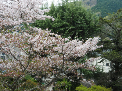 P4090005 (2)