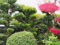 P4090013 (2)