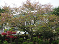 P4130013