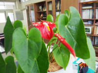 P4150022