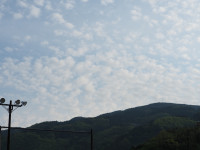 P4280004
