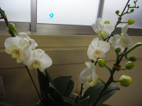 P5030110