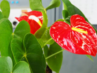 P5030112
