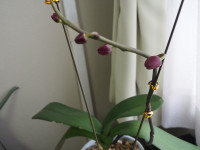 P5080078