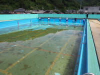 P5200029