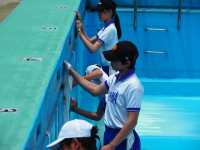 P5200067