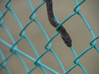 P5210013