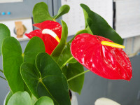 P5070001