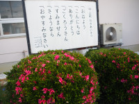 P5220026