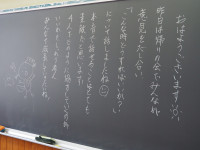P5290046