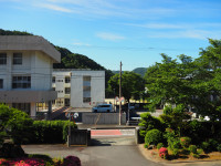 P6010021