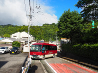 P6030002