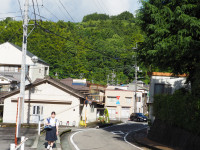 P6030012