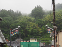 P6050026