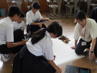 P6050008