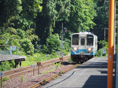 P6120083