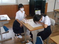 DSCN0206