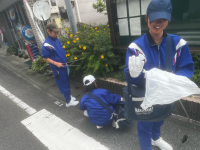 全校_全校NET_青木萌花_写真_21