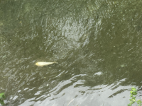 全校_全校NET_青木萌花_写真_11