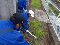 全校_全校NET_青木萌花_写真_15