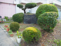 P7130029