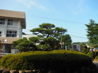 P7130030
