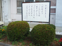 P7130033