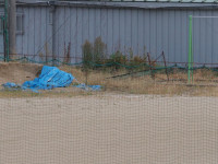 P8290011