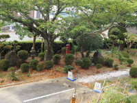 P8290004