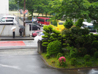 P5300017 (2)