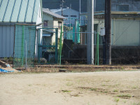 P6270014