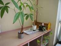P7020061