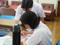 P7040002 (2)