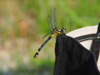P7080083