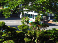 P7250423