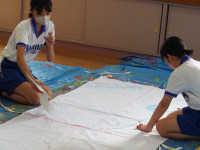 P8010031