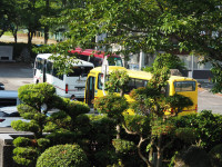 P8050011
