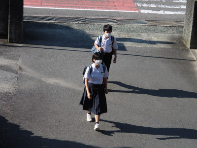 P8184547