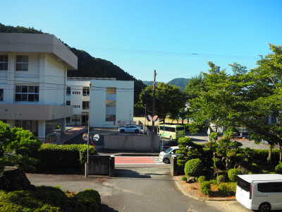P8194499