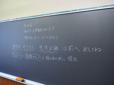P9010049