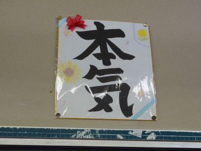 P9010047