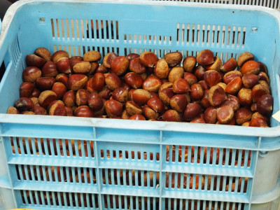 P9100091