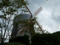 P1050431