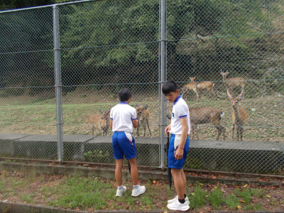 DSCN0022