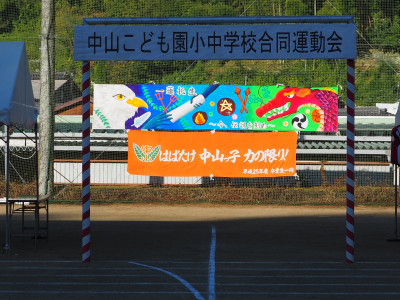 PA110058